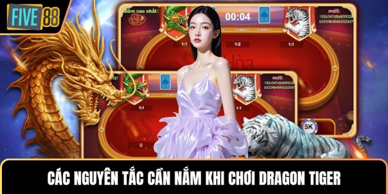 Các nguyên tắc cần nắm khi chơi Dragon Tiger