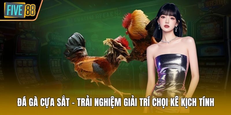 đá gà cựa sắt