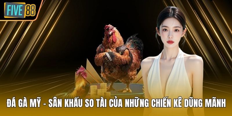 đá gà Mỹ