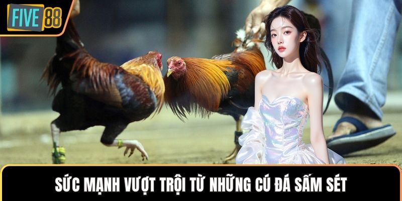 Sức mạnh vượt trội từ những cú đá sấm sét